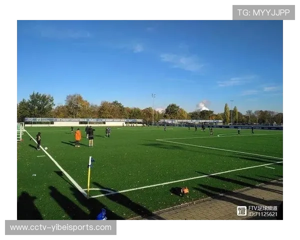 经济学者分析：德甲比赛延期对当地商业生态的连锁影响